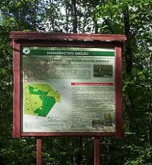 Radziejowska doubrava